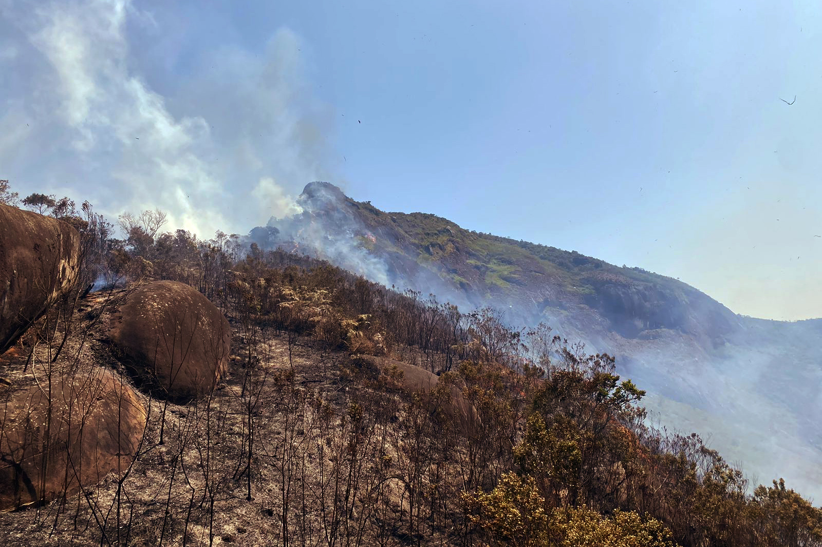 Foto: O Diário de Teresópolis