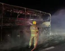  Ônibus com 43 passageiros pega fogo na BR-050, em Uberaba 
