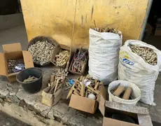 Fiscalização detona 46 kg de pólvora encontrados em fábrica clandestina de fogos em Traipu; veja explosão
