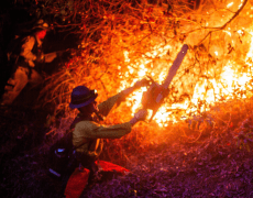 Sobe para 24 o número de mortos em onda de incêndios que atinge Los Angeles