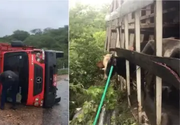 Mais um: caminhão boiadeiro que fazia transporte de gado tomba na Serra do Teixeira na tarde desta quarta-feira
