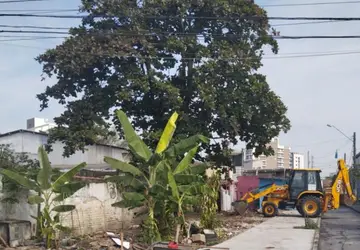 Força-tarefa combate ocupações irregulares em Santos, SP