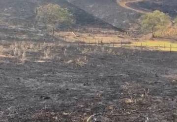 Polícia da PB investiga incêndio que destruiu cerca de 15 hectares de vegetação da Caatinga