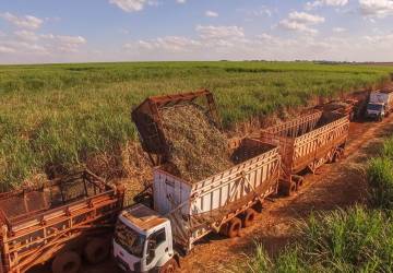 Desafios da Metrópole: agritechs ganham força e se expandem no entorno da 