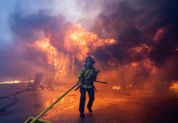 Destruição, colunas de fumaça e evacuação em massa: veja FOTOS e VÍDEOS de incêndio florestal em Los Angeles