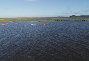 Lagoa do Peixe recupera volume de água após enfrentar anos seguidos de seca no RS; veja ANTES e DEPOIS