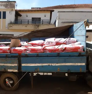 Polícia Civil apreende 240 sacas de sementes de milho que seriam revendidas de forma irregular em Coromandel