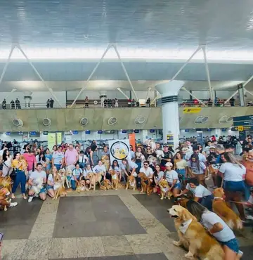 Justiça por Joca: Tutores de cães paraenses fazem ato pacífico no aeroporto em favor da causa animal