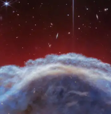 James Webb capta imagens impactantes da nebulosa Cabeça de Cavalo