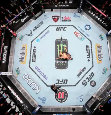 UFC hoje: onde assistir ao vivo