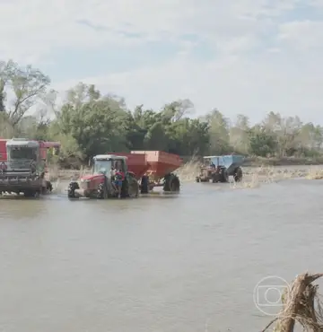 Globo Rural mostra as perdas nas plantações e criações no Rio Grande do Sul