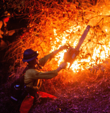 Sobe para 24 o número de mortos em onda de incêndios que atinge Los Angeles