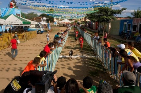 Festa do Bode Rei: decisão da Justiça proíbe participação de bodes em competições