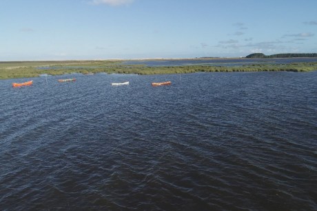 Lagoa do Peixe recupera volume de água após enfrentar anos seguidos de seca no RS; veja ANTES e DEPOIS