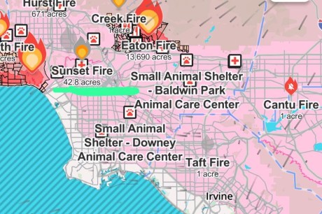 Estilista carioca relata impactos do incêndio em Los Angeles: 'É a natureza gritando'